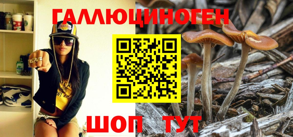 Мичуринск  Псилоцибиновые грибы Psilocybe  Вход с VPN  Псилоцибиновые грибы Psilocybine cubensis 